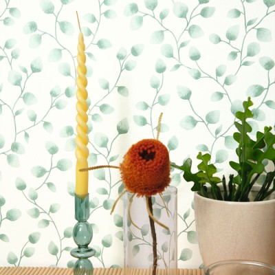 Papel de parede folhas de eucalipto cor verde escuro 2