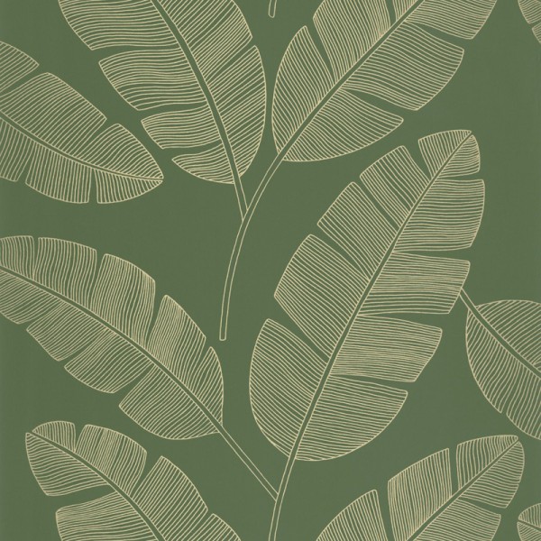papel pintado hojas de plátano color verde caqui