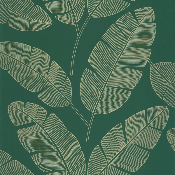 papel pintado hojas de plátano color verde oscuro