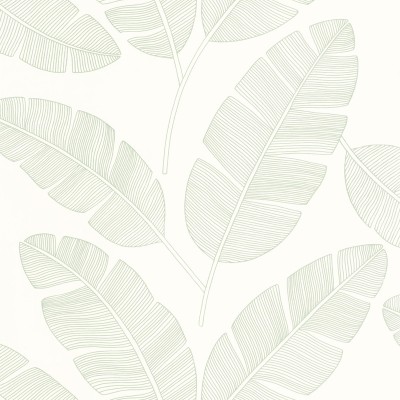 paper pintat fulles de plàtan color verd ametlla paper pintat fulles de plàtan color verd ametlla