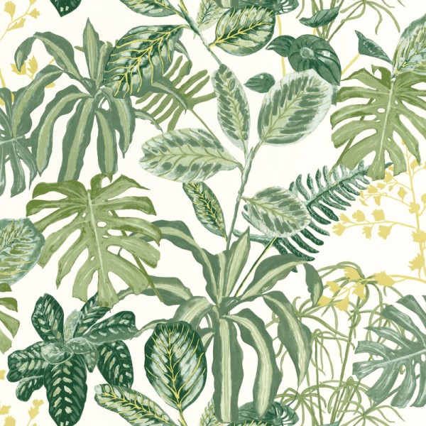 papel de parede jardim botânico verde