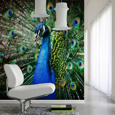 Fotomural Decorativo FV034 2