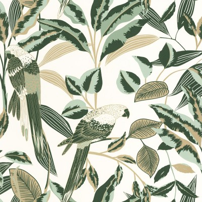 papel de parede tropical com papagaios cor verde papel de parede tropical com papagaios cor verde