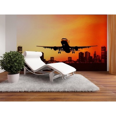 Fotomural NIGHT FLIGHT FT-0183 2