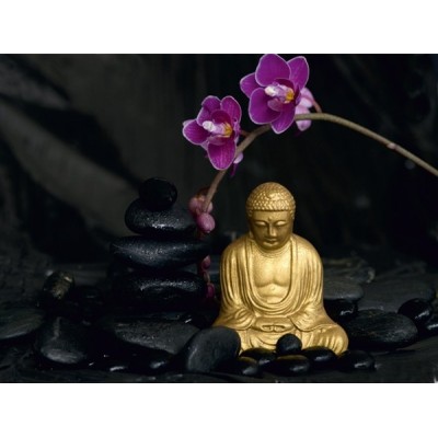 Fotomural BUDA & ORCHID FT-0193 Fotomural BUDA & ORCHID FT-0193