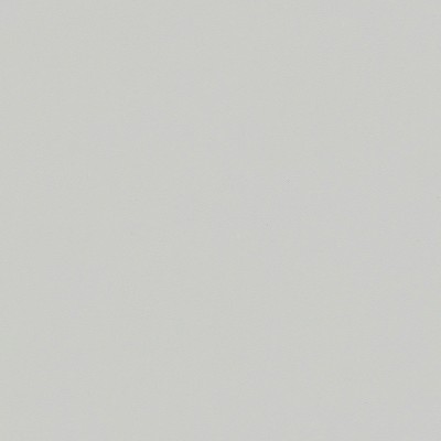 Papel pintado liso color gris claro