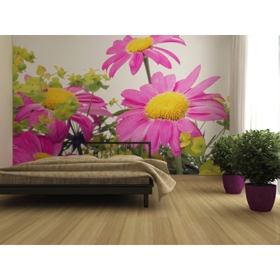 Fotomural FIELD FLOWERS FT-0122