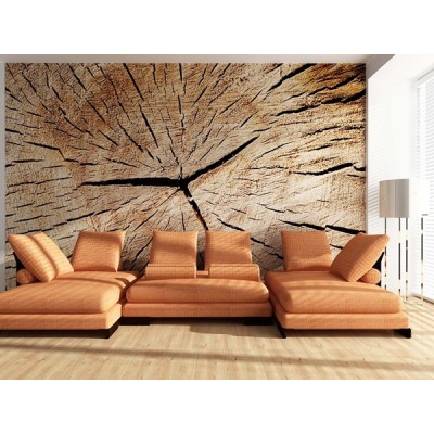 Fotomural WOOD FT-0177