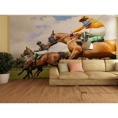 Fotomural HOSE RACE WITH HURDLES FT-0141 2