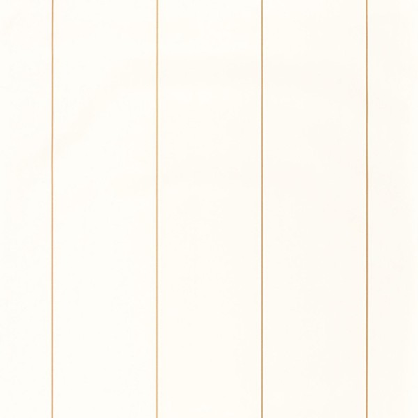 Papel de parede RISCAS FINAS DOURADAS