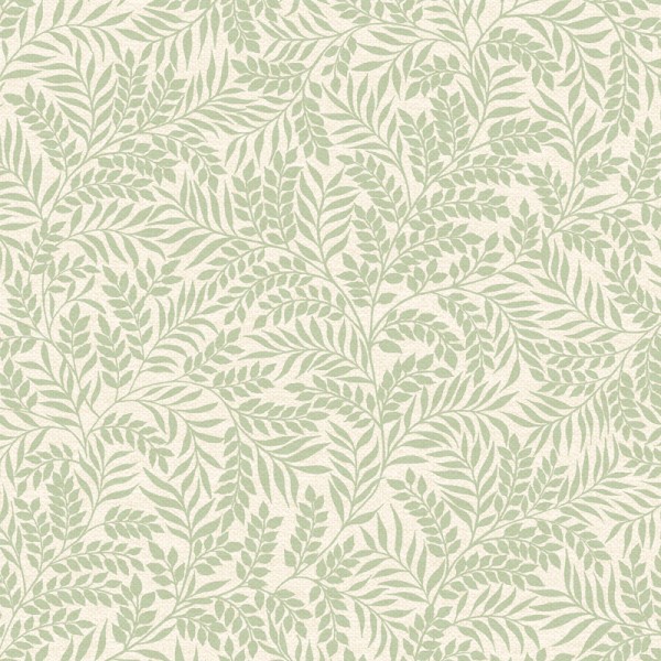 Papel de parede FOLHAS DE LOURO VERDE