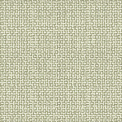 Papel de parede de SERAPILHEIRA VERDE Papel de parede de SERAPILHEIRA VERDE