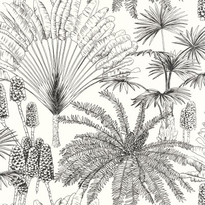 Papel pintado TROPICAL NEGRO PALMERAS MLGT_10433_09_56 Papel pintado TROPICAL NEGRO PALMERAS MLGT_10433_09_56