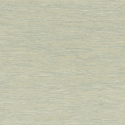 Papel pintado TEXTURA ORIENTAL VERDE AGUA