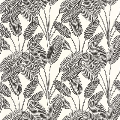 Papel de parede FOLHAS DE BANANA PRETO MLGT_10432_09_31