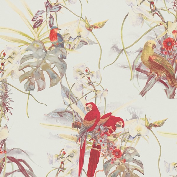 Papel pintado Loros Rojos