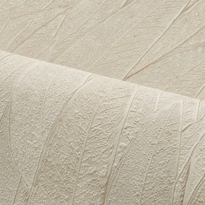Papel de parede de FOLHAS DE EUCALIPTO BRANCO SUJO