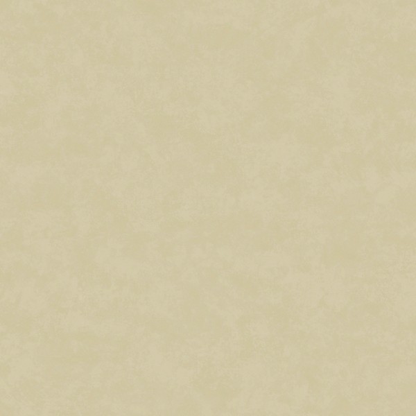 Papel pintado LISO EFECTO TEXTURA BEIGE TAUPE