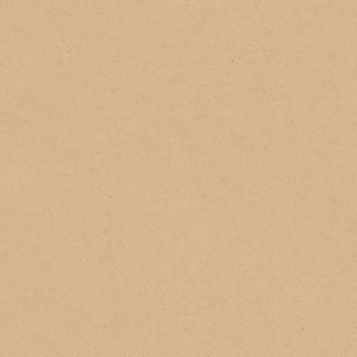Papel de parede infantil LISO MARROM
