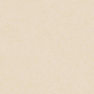 Papel de parede infantil LISO BEGE