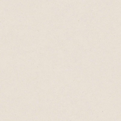 Papel de parede infantil LISO BEGE CLARO
