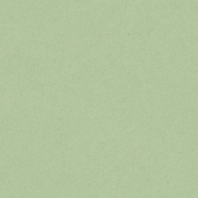 Papel pintado infantil LISO VERDE