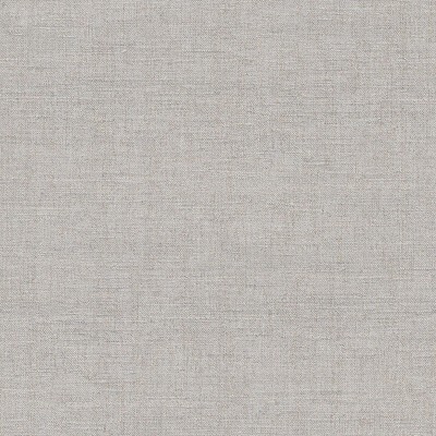Paper pintat TEXTURA LLI GRIS 39052