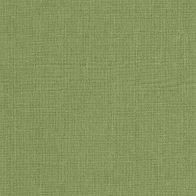 Papel de parede IMITAÇÃO RÁFIA VERDE GNL2_10401_79_51