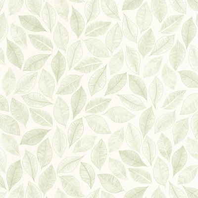 Papel de parede COM FOLHAS VERDES GNL2_10538_07_55