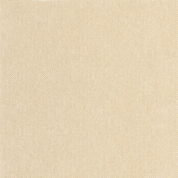 Papel de parede LISO BEGE WILD_10499_13_00