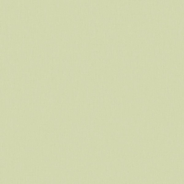 Papel de parede LISO VERDE OTLS_6452_77_21