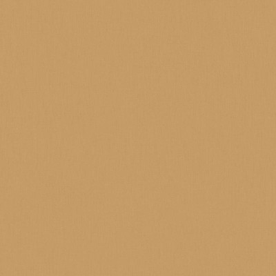 Papel de parede LISO MARROM CLARO OTLS_6452_25_78