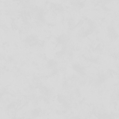 Papel de parede LISO CINZA CLARO 5313-2