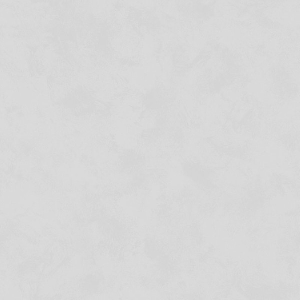 Papel pintado LISO GRIS CLARO 5313-2