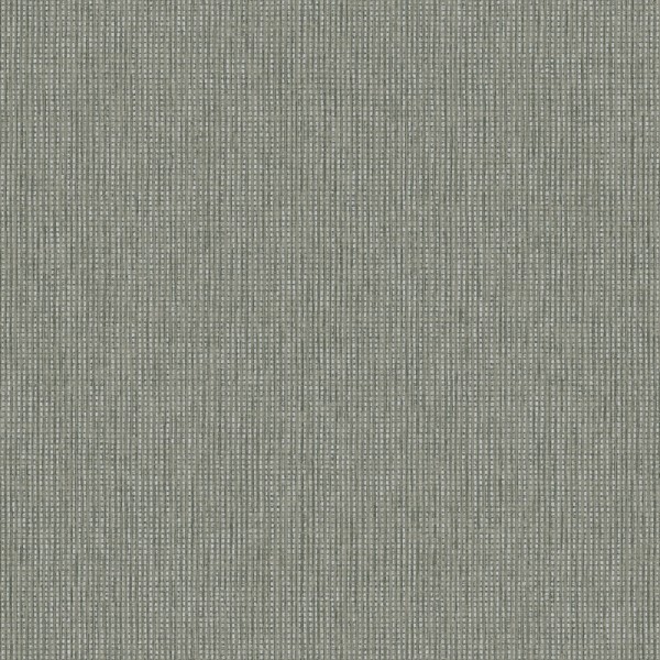 Papel pintado RAFFIA TRENZADA CHARCOAL Y PLATEADO TE66133
