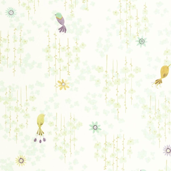 Papel de parede INFANTIL COM PÁSSAROS VERDE OUTD_20078_71_17
