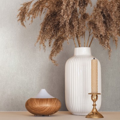 Papel pintado TEXTURA HORMIGÓN GRIS CLARO 35549 2