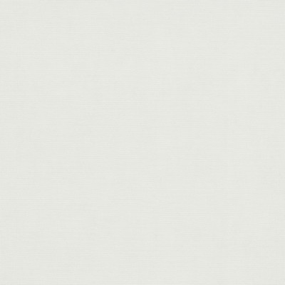 Papel de parede LISO VINILICO BRANCO EC1047301