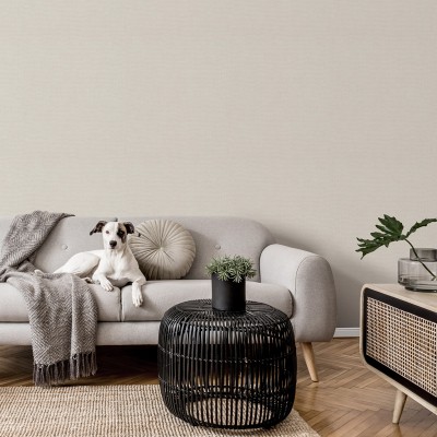 Papel de parede LISO VINILICO CREME EC1047314 2