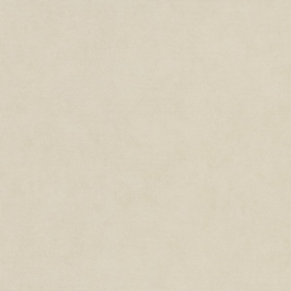 Papel de parede LISO VINILICO BEGE EC1047302