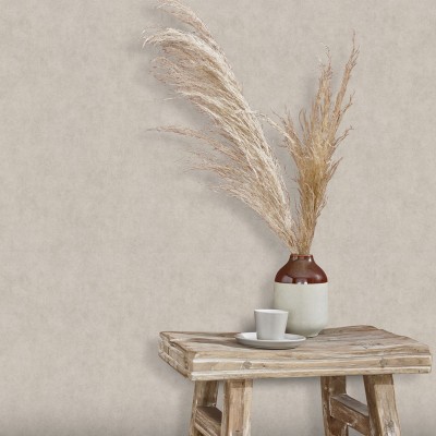 Papel pintado LISO VINILICO GRIS TOPO EC1047338 2