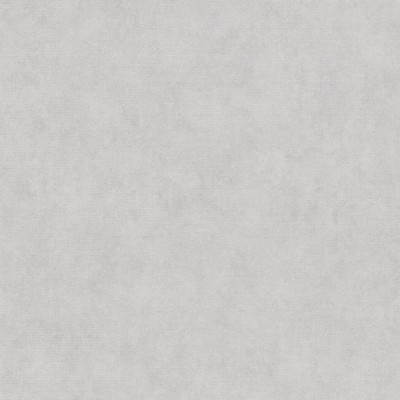 Papel pintado LISO VINILICO GRIS CLARO EC1047331
