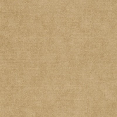 Papel pintado LISO VINILICO DORADO EC1047330