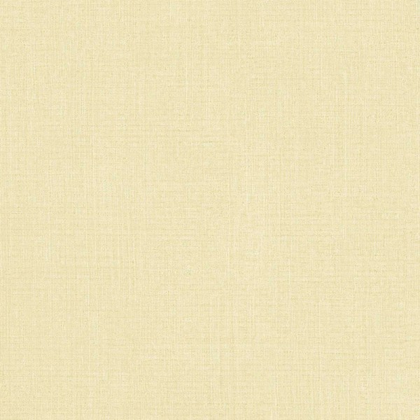 Papel de parede LISO COM TEXTURA BEGE 27562