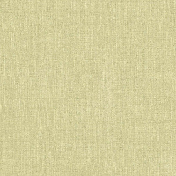 Papel de parede LISO COM TEXTURA BEGE ESVERDEADO 27565