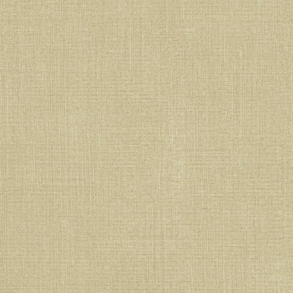Papel pintado LISO CON TEXTURA MARRÓN CLARO 27568