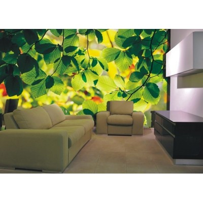 Fotomural GREEN SPRING FT-0310 2