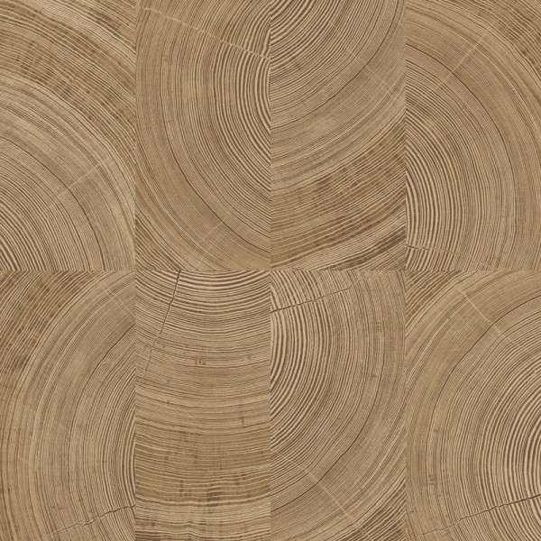 Paper pintat FUSTA ANELLS NATURALS UT_16207479