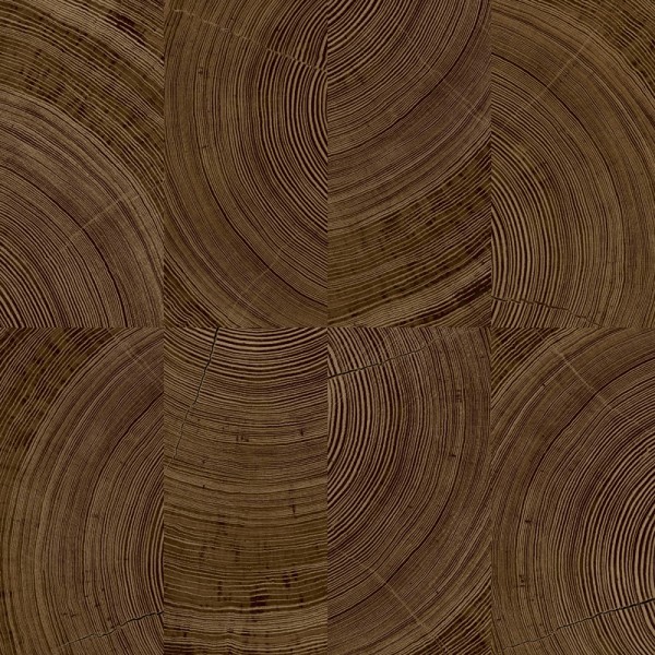 Papel pintado MADERA ANILLOS NOGAL UT_16207480
