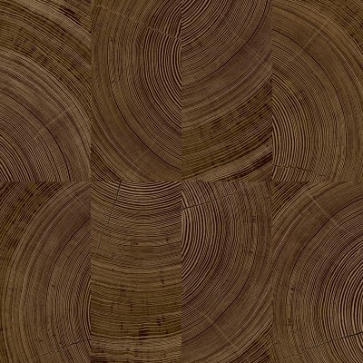 Papel pintado MADERA ANILLOS NOGAL UT_16207480